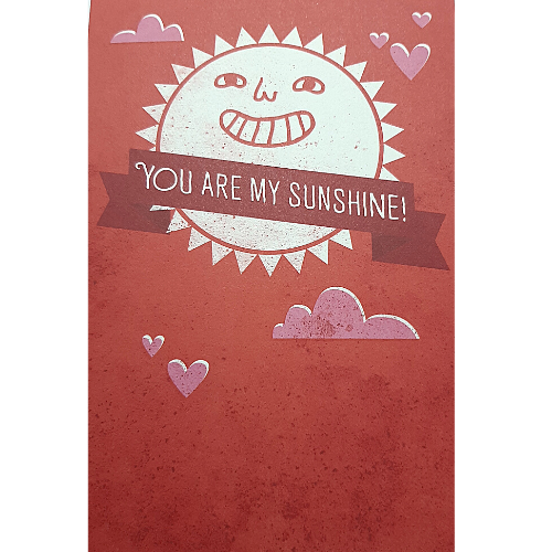 YOU ARE MY SUNSHINE!