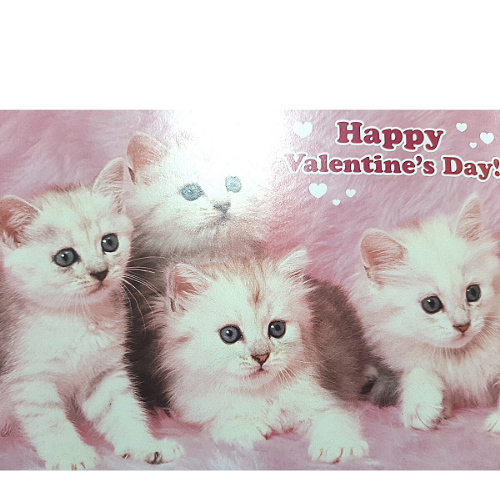 Happy Valentine's Day