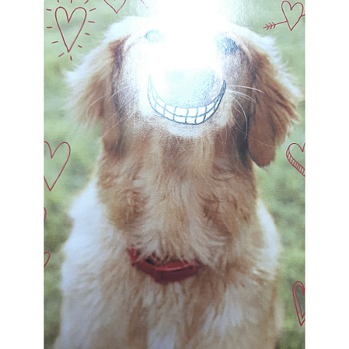 This Valentine's Smile