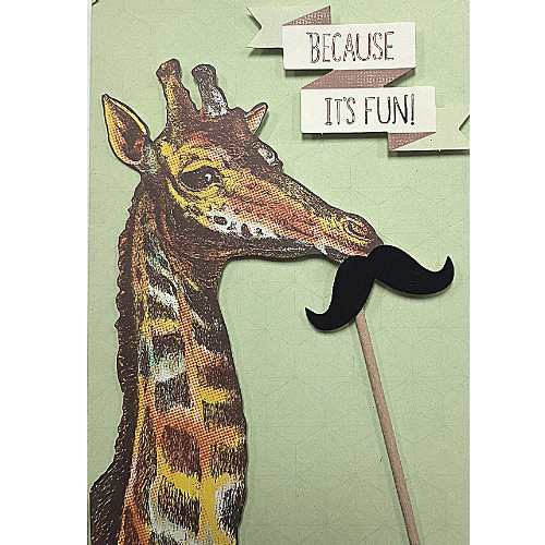 Because It's Fun!