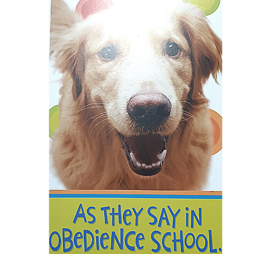 Obedience School