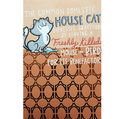 House Cat