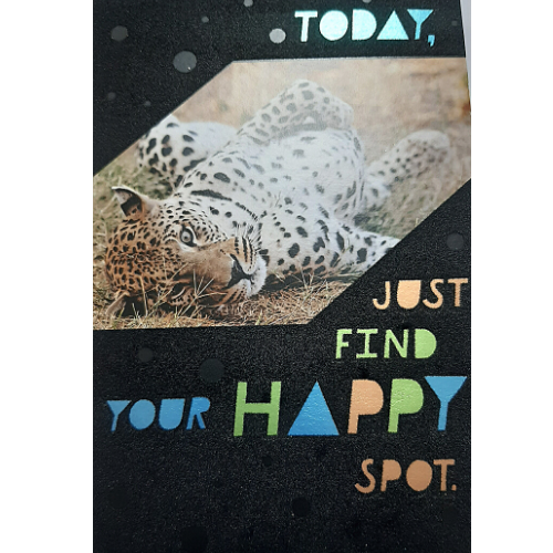Happy Spot