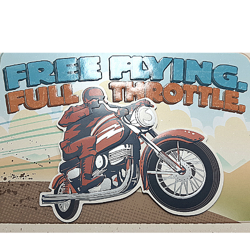 Free Flying