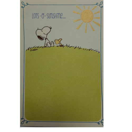 Lots-O-Sunshine