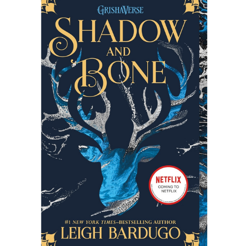 Shadow & Bone, Book 1