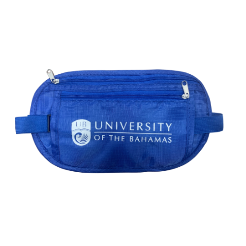 Travel Money Belt