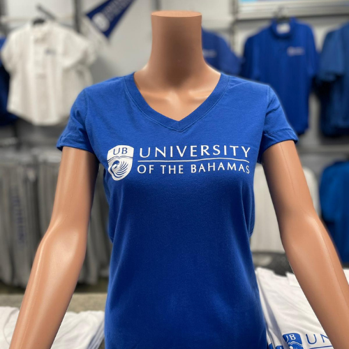 The V-Neck Tee
