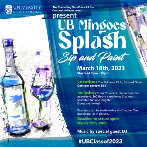 UB Mingoes Splash - Sip and Paint