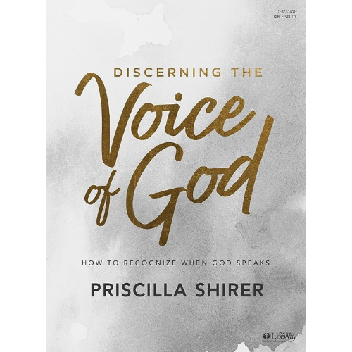 Discerning the Voice of God
