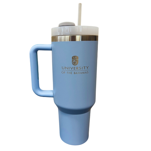 Stainless Steel Mug