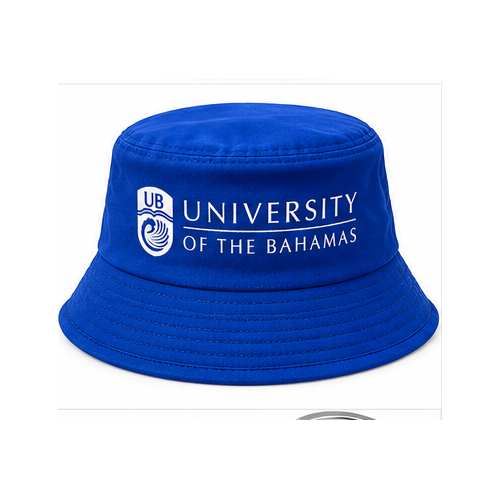 Alternative view of UB Reversible Bucket Hat