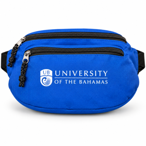 UB Everyday Waist Bag