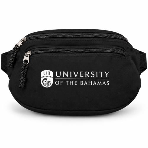 Alternative view of UB Everyday Waist Bag