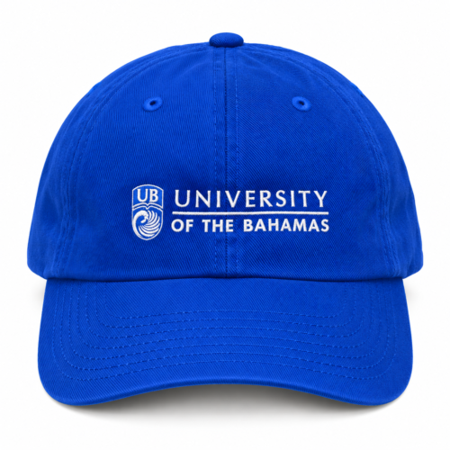 UB Relaxed Twill Adjustable Cap - Image 3