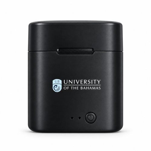 UB Wireless Earbuds