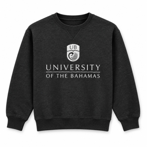UB Legacy Sweatshirt - Image 3